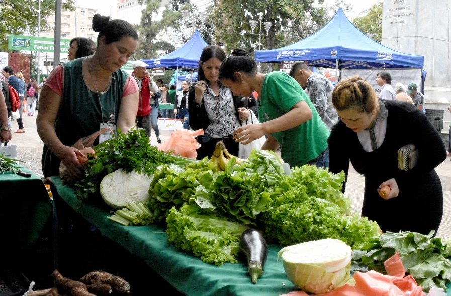 Afirman que por la crisis “todos los feriantes ya tomaron crédito”