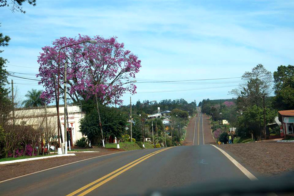 Complejo panorama por la falta de agua en Gobernador Roca