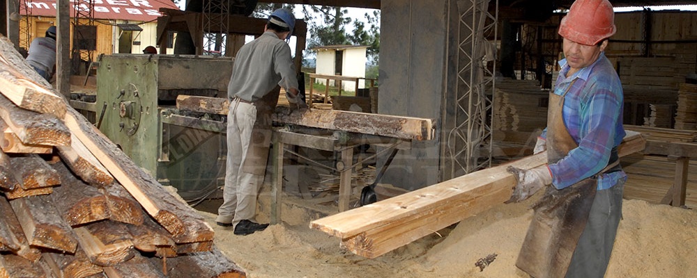 Desde el sector forestal manifestaron  que el mercado está “paralizado”