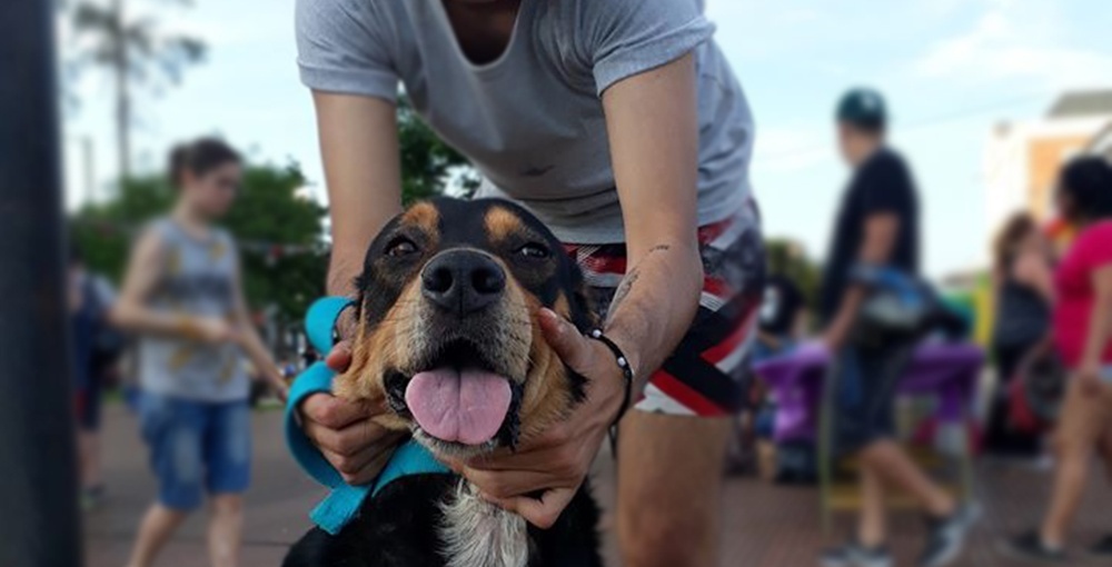 “Las mascotas no son un juguete, no hay que regalarlas a quien no está preparado”