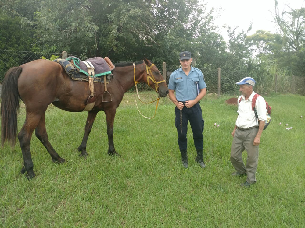 Robaron un caballo y lo escondieron