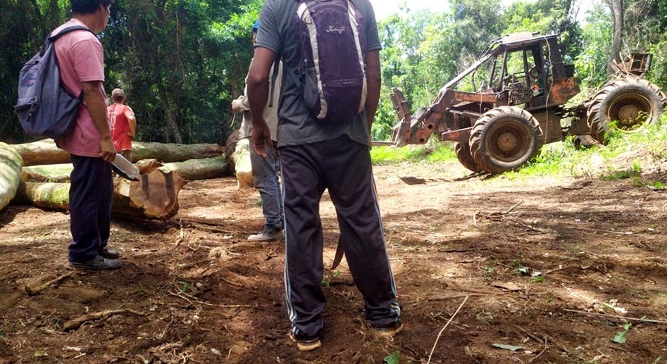 Denuncian que el Ministerio de Ecología autorizó desmonte en Campo Grande