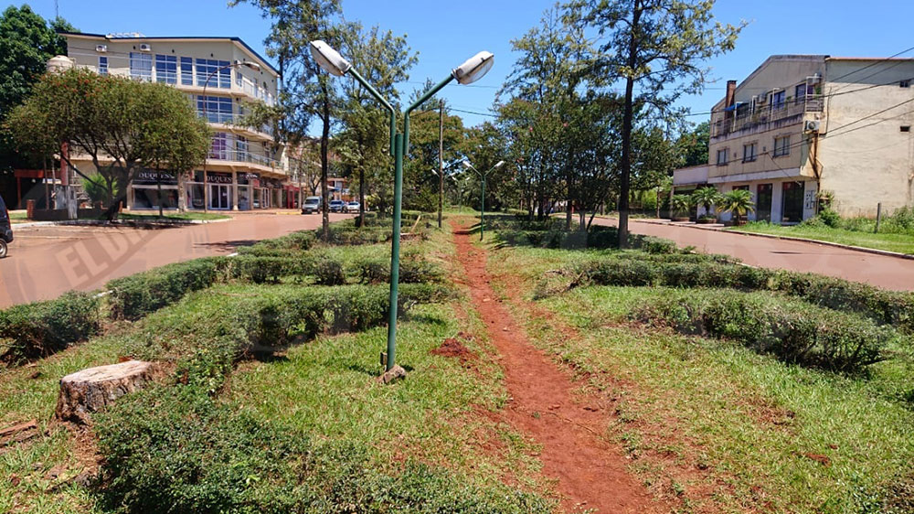 Quejas de vecinos por tala de pinos y eucaliptos en el centro de San Vicente
