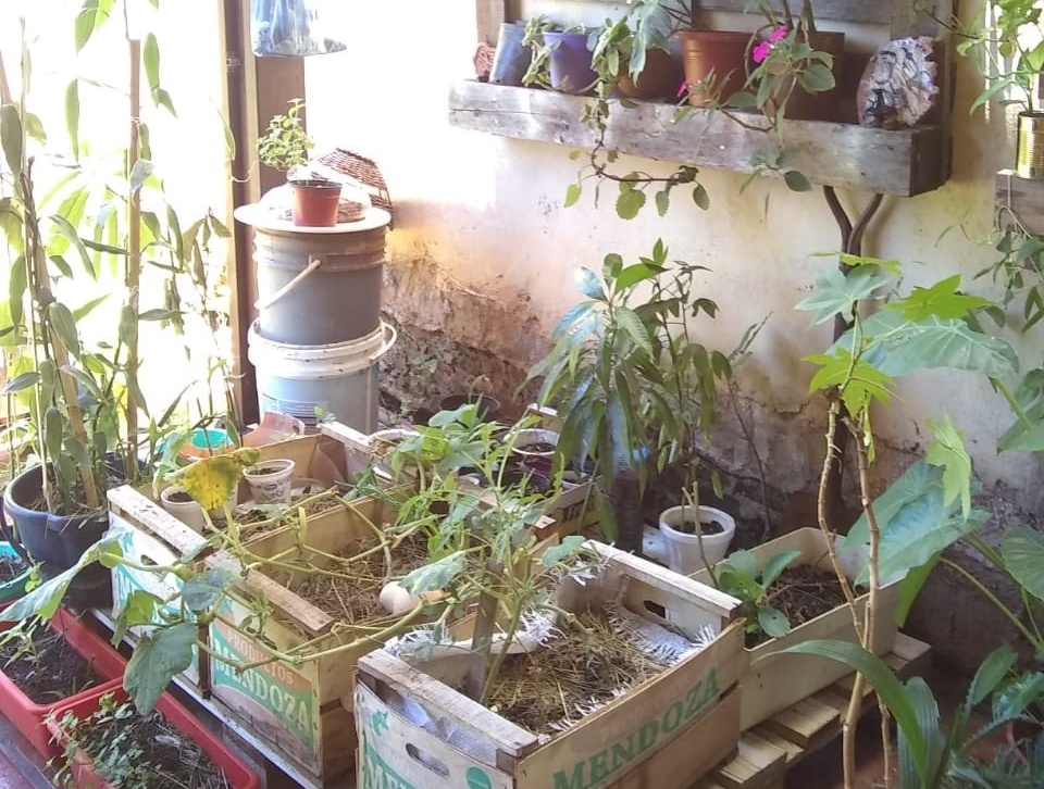 Huertas urbanas para pequeños espacios