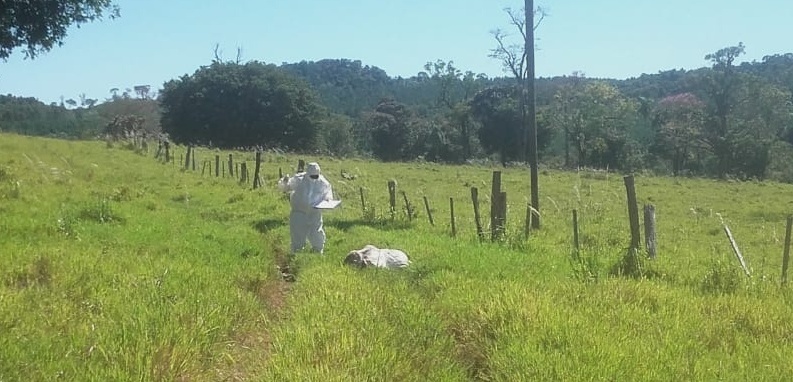 El colono de Liniers habría reconocido a quienes le robaban vacas y lo ejecutaron