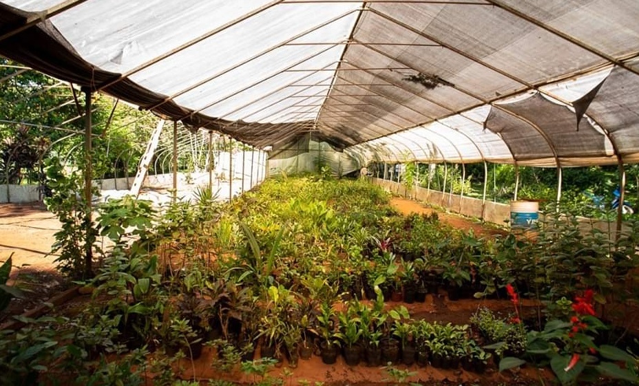 Eldorado reactiva el vivero municipal para producción propia de flores y árboles