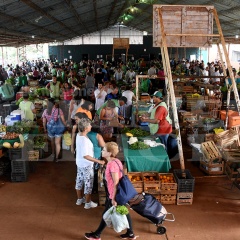 Feria Franca - Las ferias francas suelen concentrar muchas personas