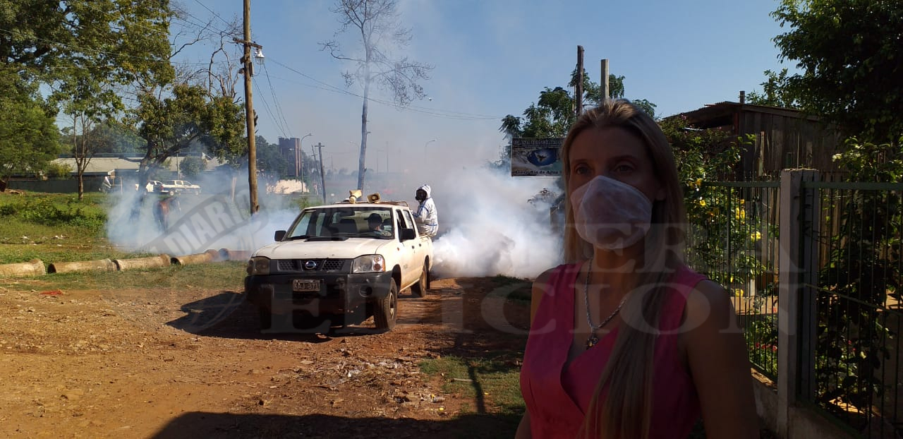 Continúan las fumigaciones parciales en barrios de Posadas