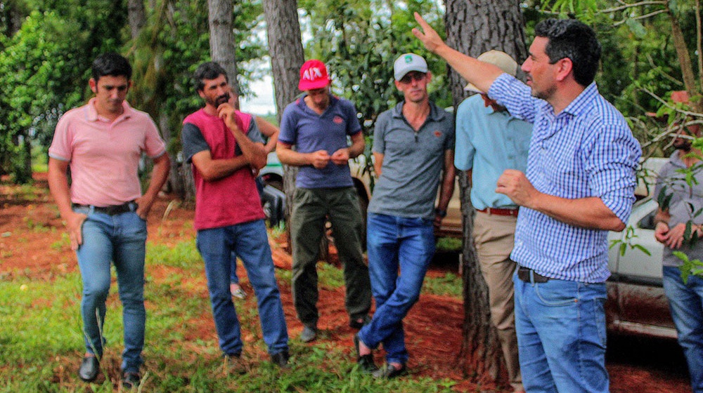 Los exceptuados del sistema de producción