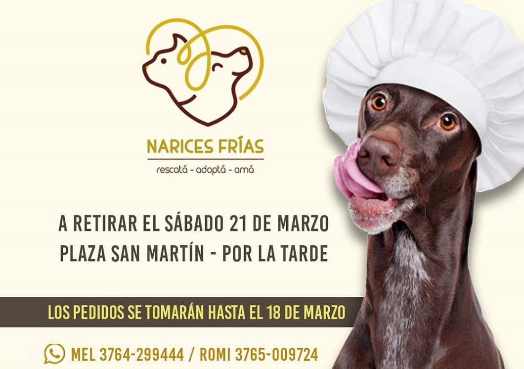 Narices Frías - Flayer de la campaña para la recaudación de fondos