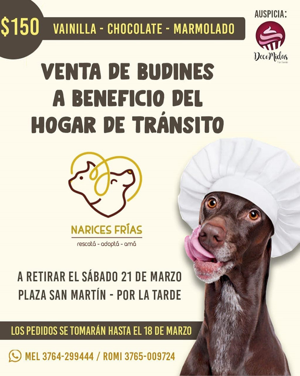 Narices Frías - Flayer de la campaña para la recaudación de fondos