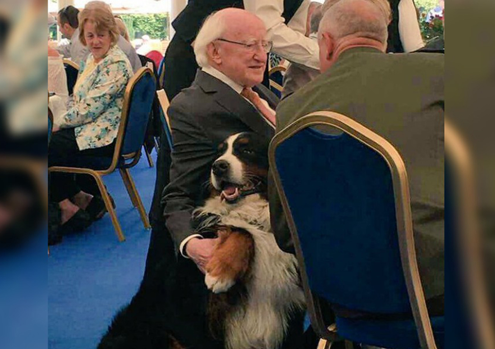 Irlanda - El presidente junto a uno de sus perros