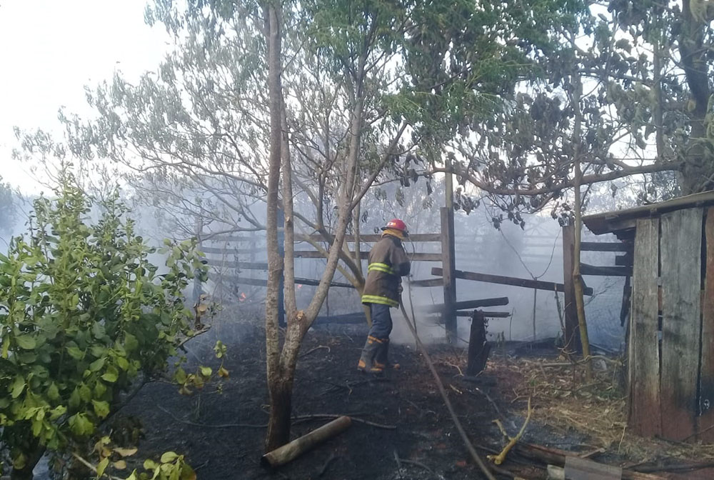 Bomberos - Bomberos de Santo Pipo lograron sofocar el incendio