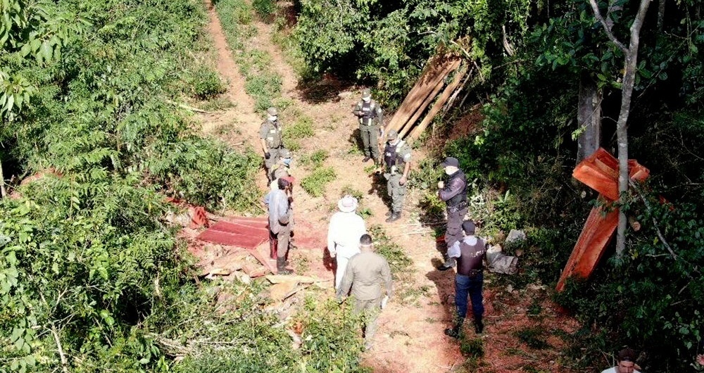 Denuncian intrusión y robo de 600 hectáreas en bosques de Irigoyen