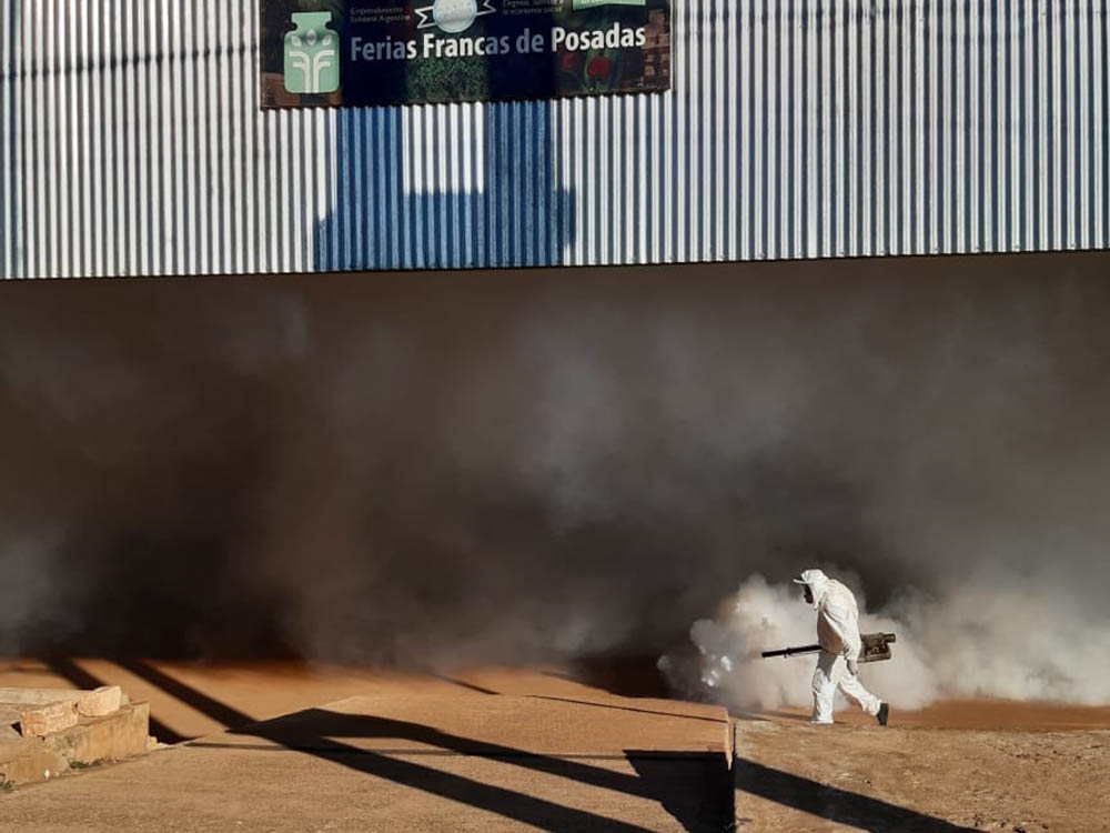 Dengue - tareas de prevención y fumigación en Posadas