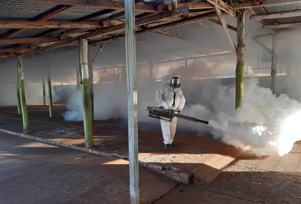 Dengue - tareas de prevención y fumigación en Posadas