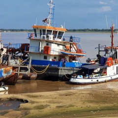 bajante - Según indicó el Instituto Nacional del Agua (INA), el nivel del río Paraná se ubica por debajo de los 2,00 metros desde el 27 de marzo. Es el promedio mensual de marzo más bajo de los últimos 50 años.