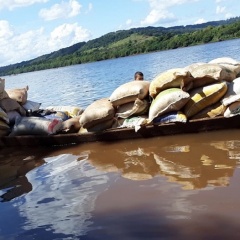 El Soberbio - Nelson Brettin, concejal de El Soberbio, manifestó su preocupación por lo que está ocurriendo en la frontera con Brasil donde los controles no alcanzan.