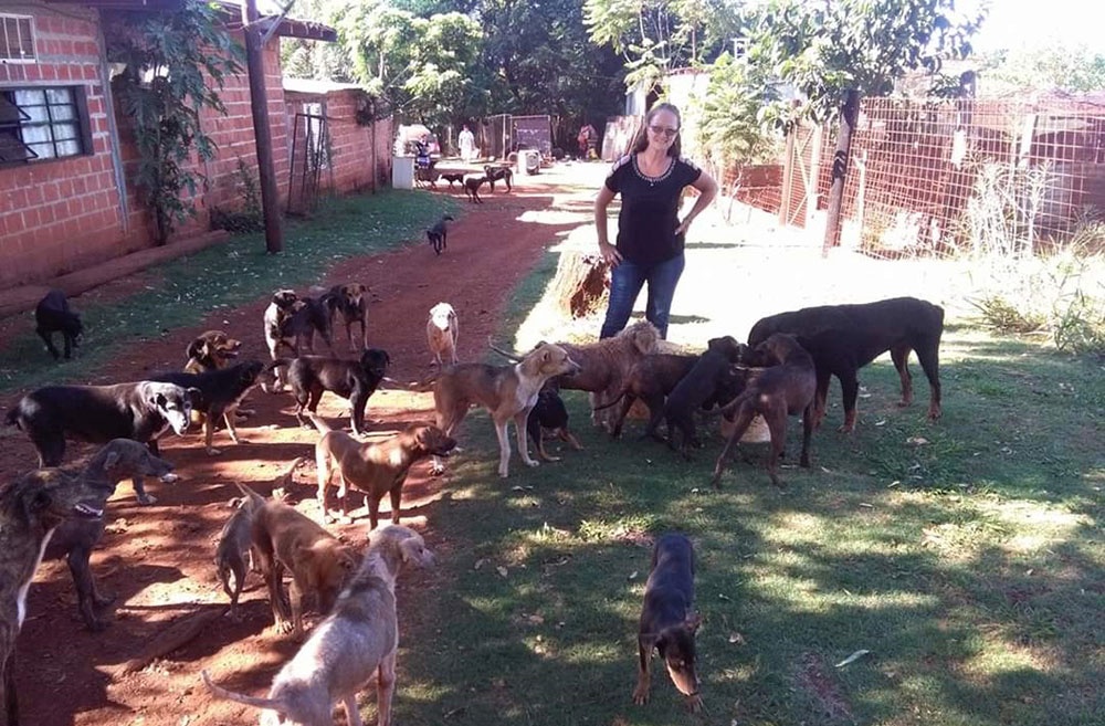 Un Día del Animal “diferente”