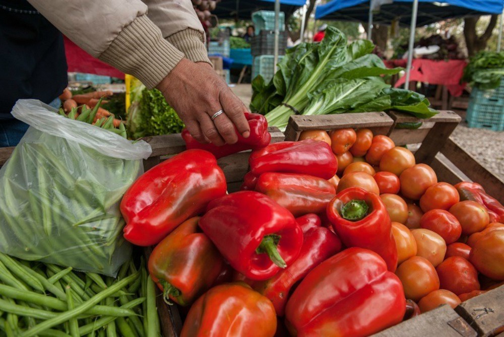 Pautas para conservar la inocuidad de bolsones de verduras