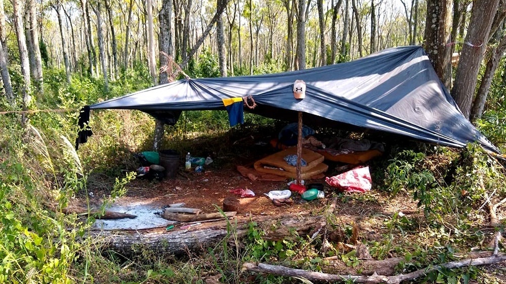 Solicitan reforzar controles para evitar la precarización de tareferos