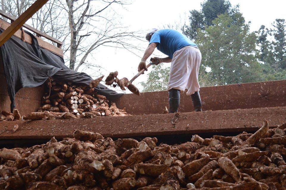 PYME y emprendedores atrás del  crédito: 50 a 70 consultas diarias