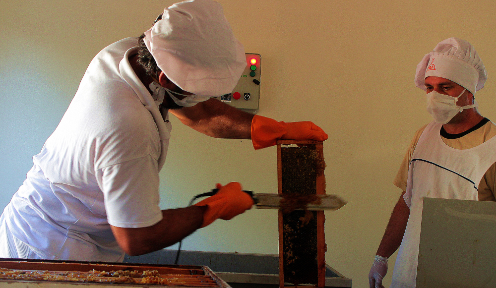 La producción de miel creció y se extendió a todos los municipios