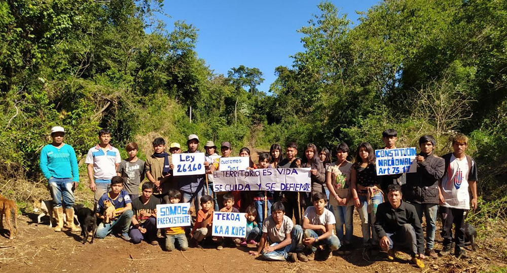 Desmonte de la Selva Misionera