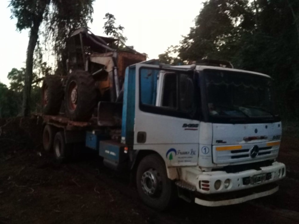 Aplicarán severas multas a los responsables de la tala del Palo Rosa