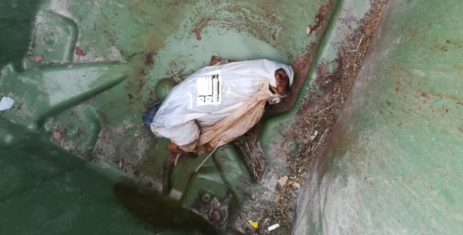 Vecinos rescatan a una perrita de un contenedor