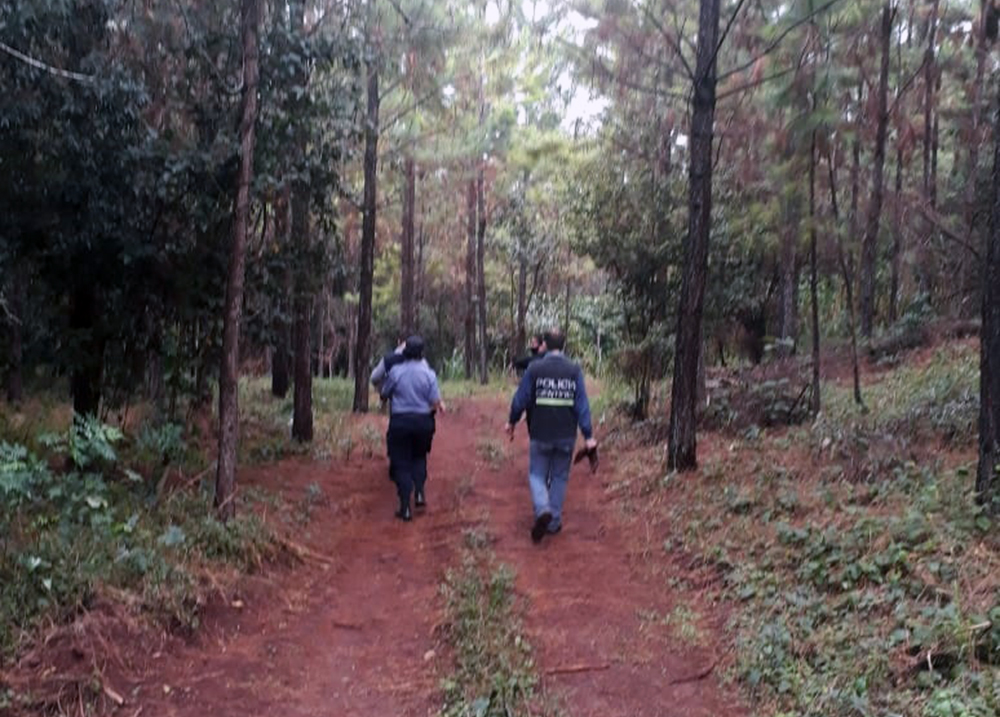 Monte - Policiales en Gobernador Roca