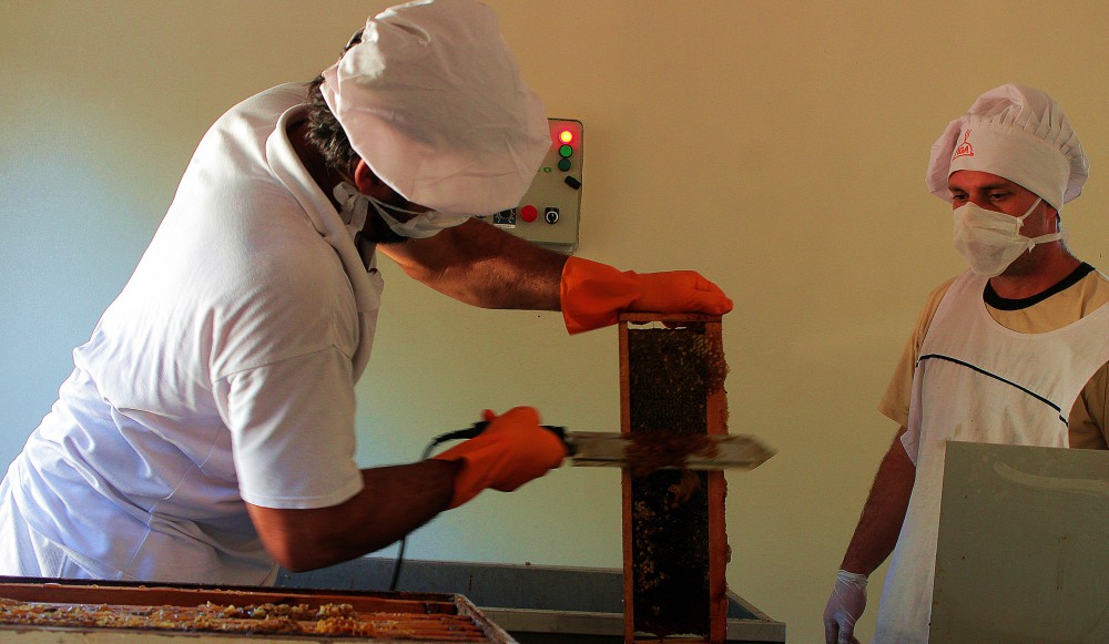 Señalaron que la producción de miel aún no cubre la demanda