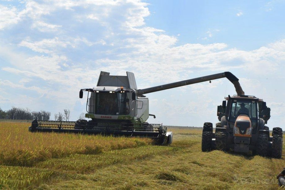 Corrientes: Resaltan que las seis actividades principales funcionan a pleno