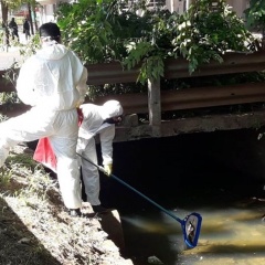 arroyo Vicario Posadas