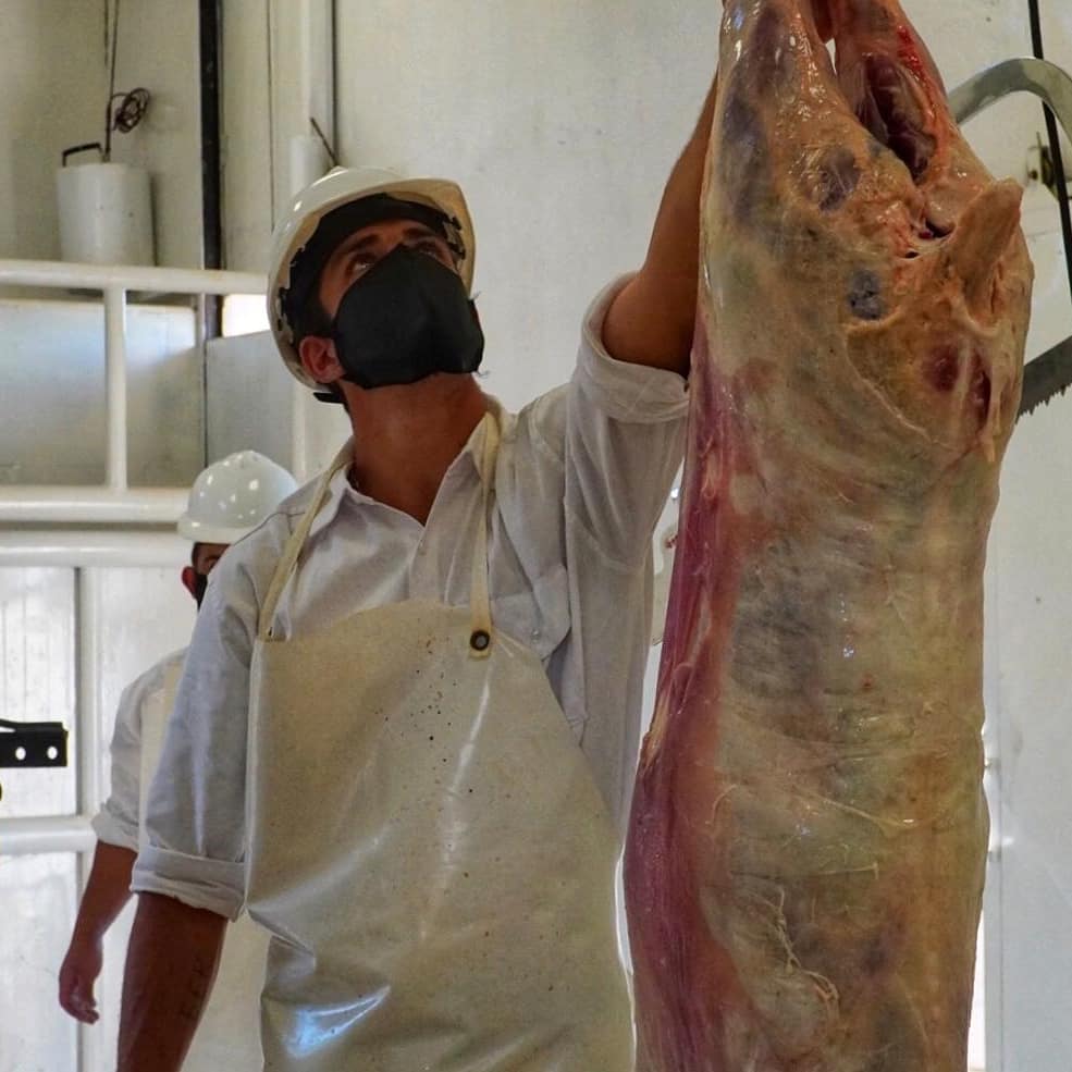 Se reactivó el frigorífico municipal de San José con la primera faena de cordero