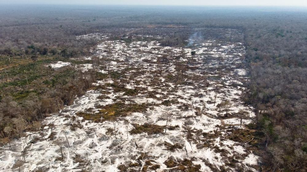 Amazonas: inversionistas se irían de Brasil si no para deforestación