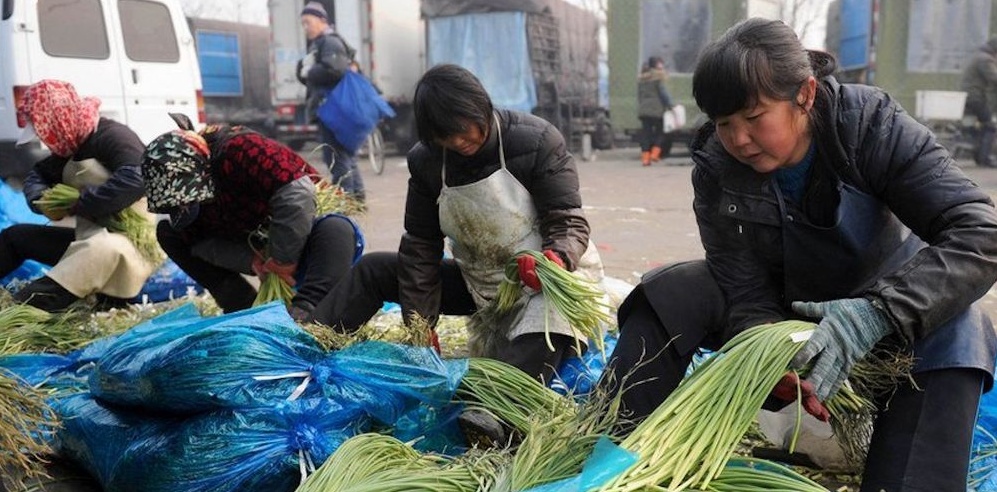 Alerta máxima en China: cierran el mercado más grande de Beijing