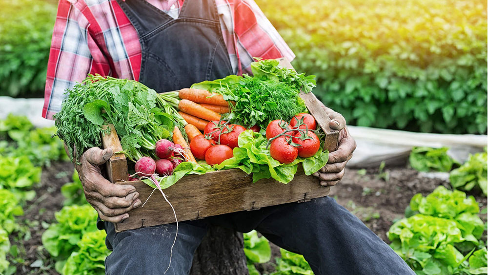 Posadas será sede de la 1° Cumbre de Agricultura Sostenible del Mercosur