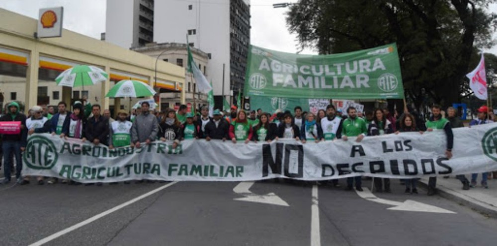 Cinco misioneros serán reincorporados en Agricultura Familiar