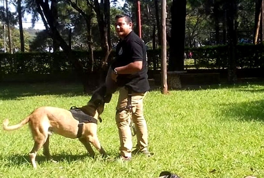 “COMBATIR EL ABURRIMIENTO”. Hay que seguir jugando y estimulando a nuestras mascotas aunque sea en el patio de casa.