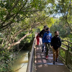 Las Cataratas del Iguazú lucieron a pleno en su reapertura después de 119 días