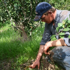 La importancia de la conservación del suelo en la economía misionera