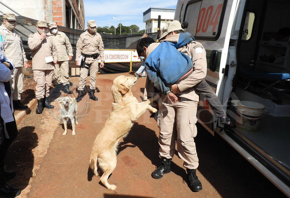 Un niño de 9 años y sus amigos “Simón”  y “Atenas” sobrevivieron a “la helada”