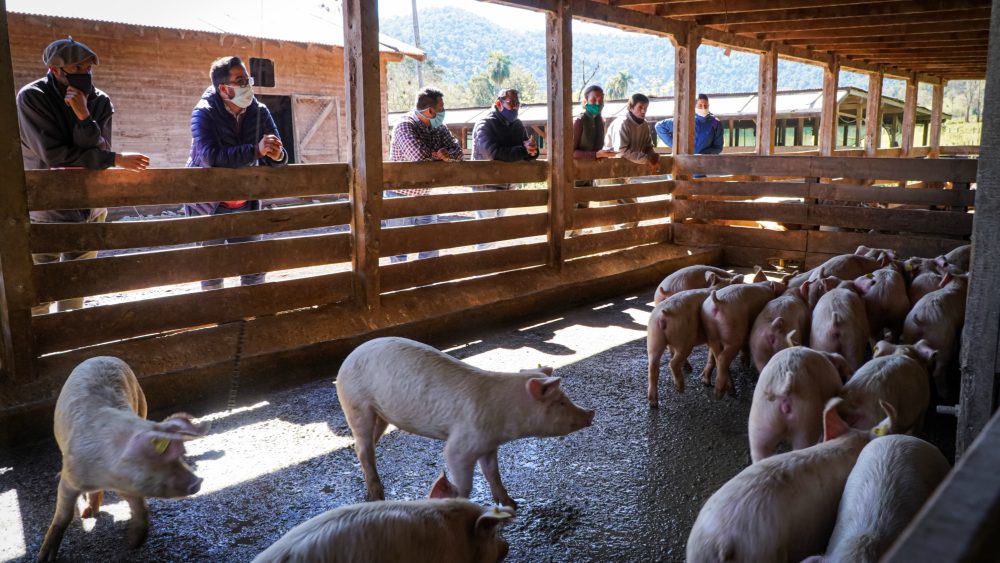 Realizaron últimos ensayos para el relevamiento productivo de zona Norte