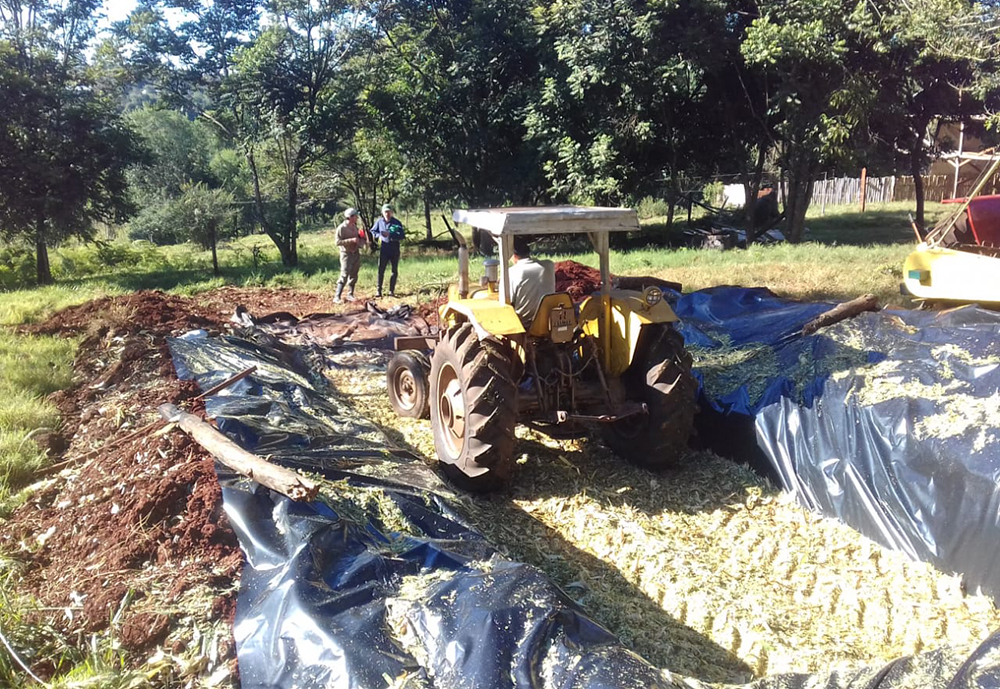 Impulsan la elaboración de silos para la alimentación de animales