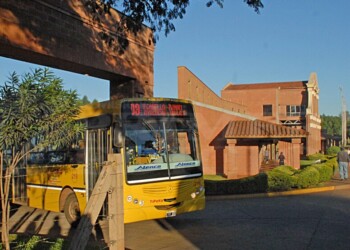 Desinterés político por poner límites al Grupo Z