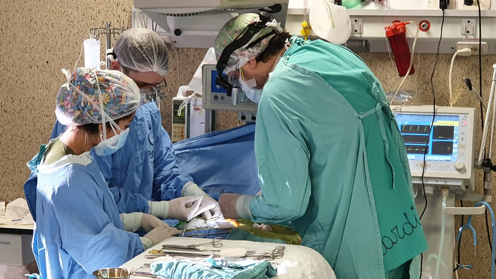 “Evoluciona bien” el primer bebé operado del corazón en el Neonatal