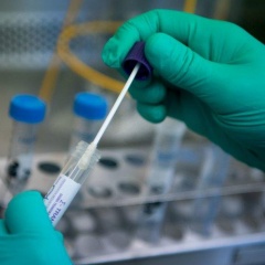 Corrientes coronavirus