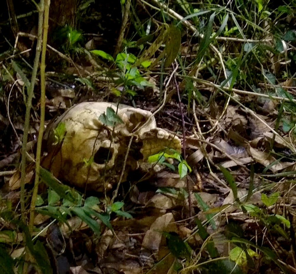 Hallaron restos óseos en Posadas