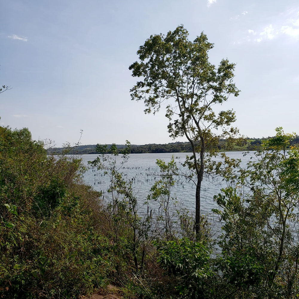 Buscan que el Campo San Juan sea el primer Parque Federal de la Argentina
